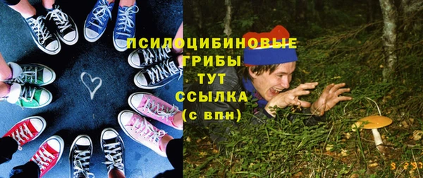 экстази Богородицк