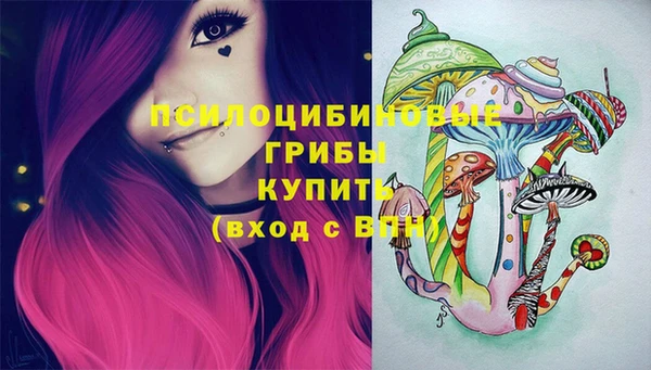 PSILOCYBIN Богородск