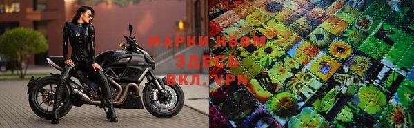 PSILOCYBIN Богородск