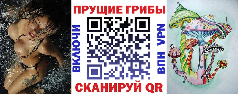 закладка  Дальнереченск  Галлюциногенные грибы ЛСД 